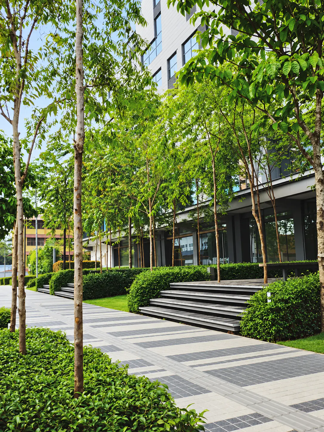 A landscaped path with steps and young trees along the ground floor