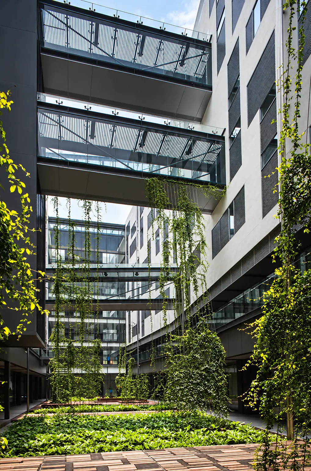 Stacked glass skybridges crossing the atrium between the office wings