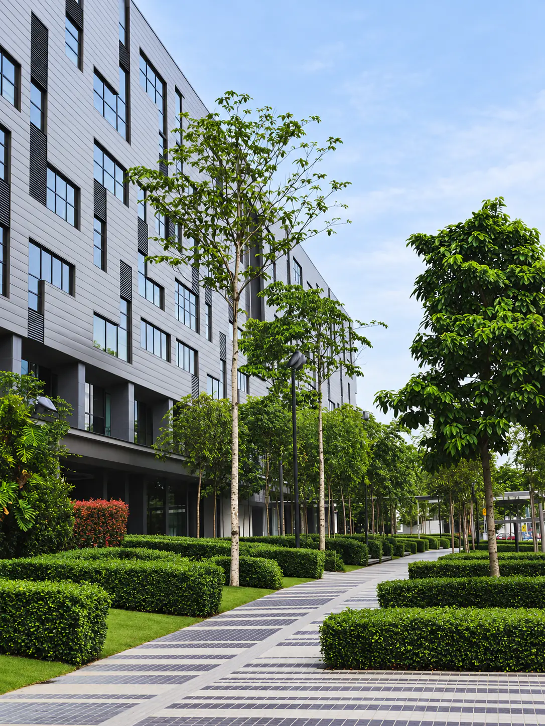A tree-lined paved walkway beside the D7 building
